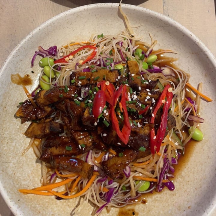 photo of The Vibe hoisin energy bowl shared by @coffeecat on  30 Aug 2023 - review
