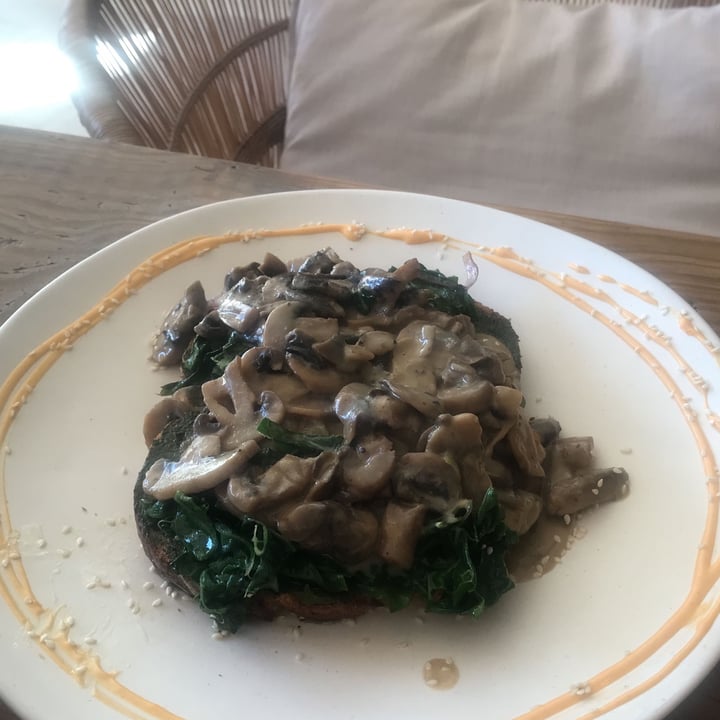 photo of The Conscious Kitchen Creamy Pulled Oyster Mushrooms shared by @natasha21 on  02 Oct 2023 - review