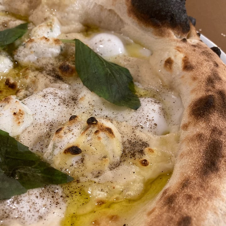 photo of Al Catzone - Pizza Napovegana Pizza Quattro Formaggi shared by @alcatzonexglianimali on  19 May 2024 - review