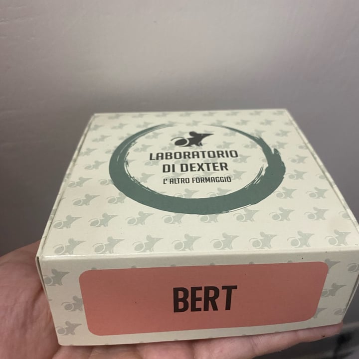 photo of Laboratorio di dexter Bert shared by @morgana3011 on  04 May 2025 - review