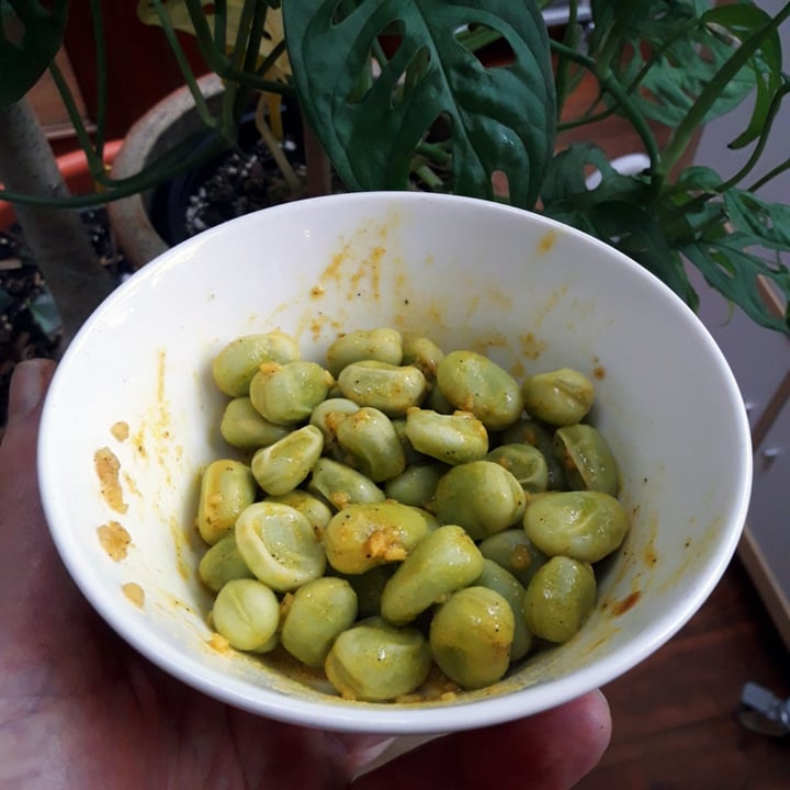 photo of Natural cool Broad Beans - Dicke Bohnen shared by @peter-plant-power on  12 Dec 2023 - review