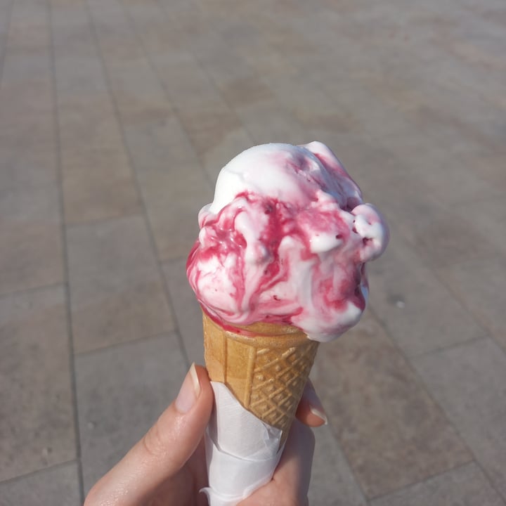 photo of Il Gelatiere del Sile gelato variegato all'amarena shared by @laura02 on  19 Jun 2025 - review