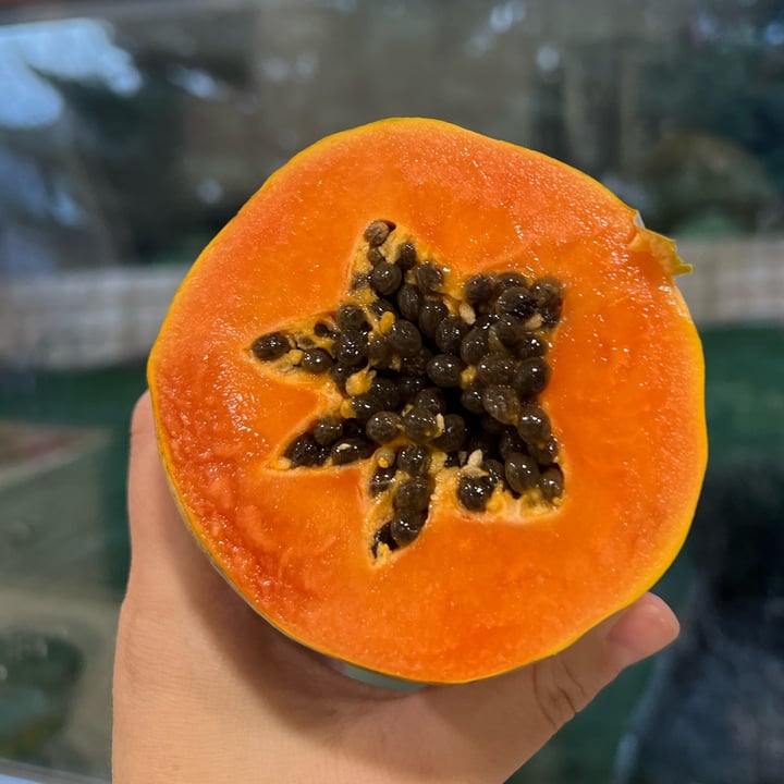 photo of HLB Golden Papaya shared by @manelin on  26 Mar 2024 - review