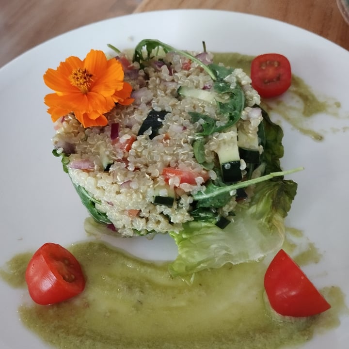 photo of Restaurante Alive Timbal de quinoa shared by @rosaliab on  09 Aug 2025 - review