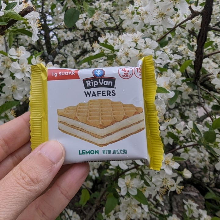 photo of Rip Van Lemon Wafers shared by @kristig on  19 Apr 2024 - review