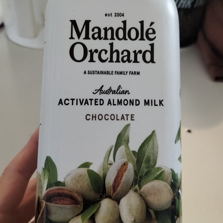 photo of Mandole Orchard Activated Almond Milk Chocolate shared by @helenevegan on  27 Mar 2024 - review