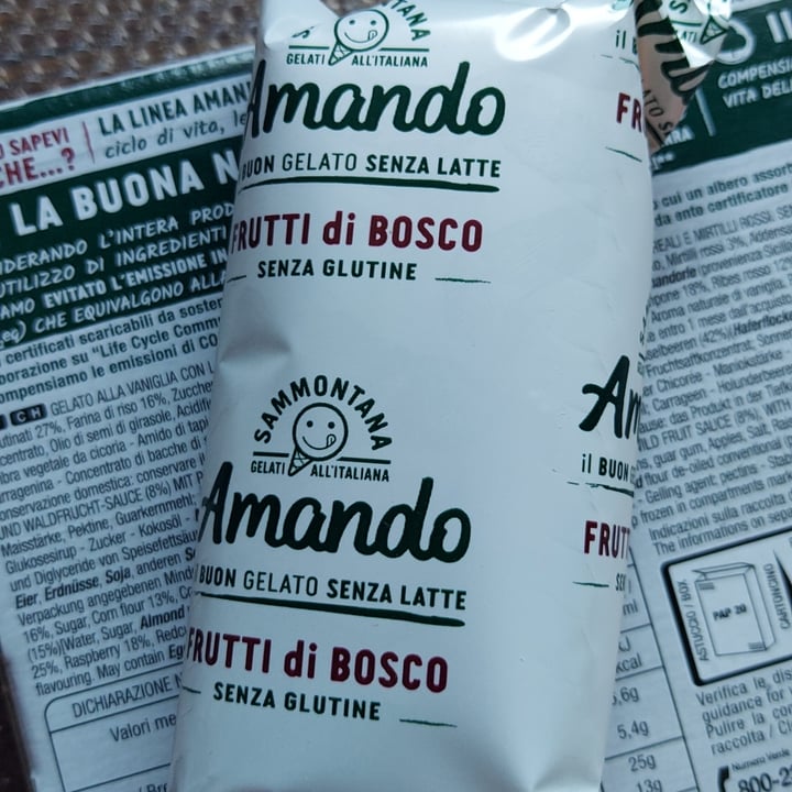 photo of Sammontana Amando 4 coni gelato alla vaniglia variegati ai frutti di bosco shared by @lucthelucky on  24 Aug 2023 - review