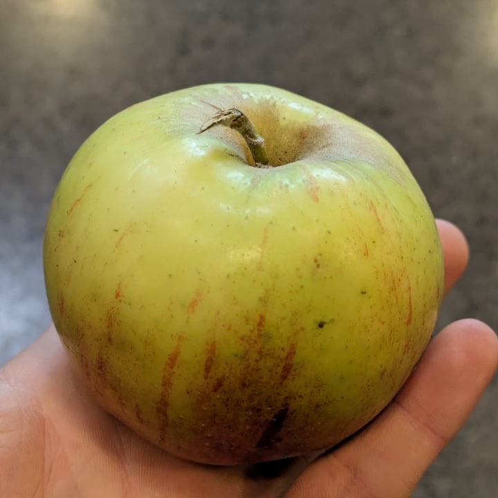 Pinnacle organic jonagold apple Review abillion