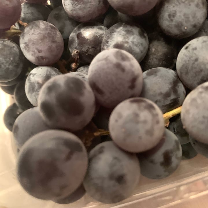 photo of Trader Joe's Thomcord Grapes shared by @rochi09 on  29 Aug 2025 - review