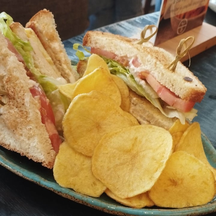 photo of YUCAFÉ Earth-Based | Café com Menu à Base de Plantas Club Sandwich shared by @lelelarcher on  09 Aug 2025 - review