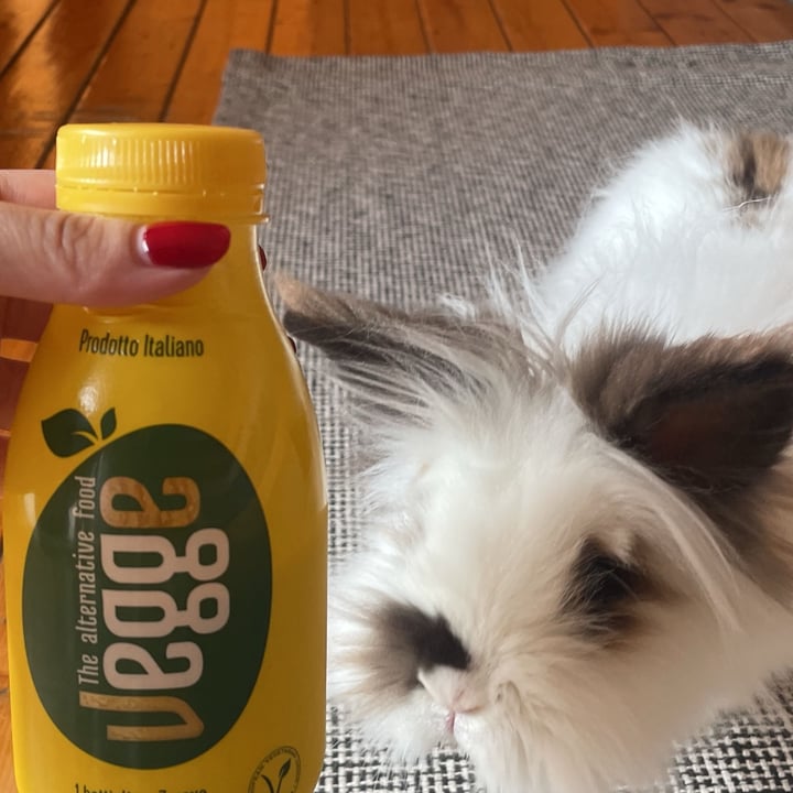 photo of Vegge Plant Based Egg shared by @yuka-bunny on  16 Mar 2024 - review