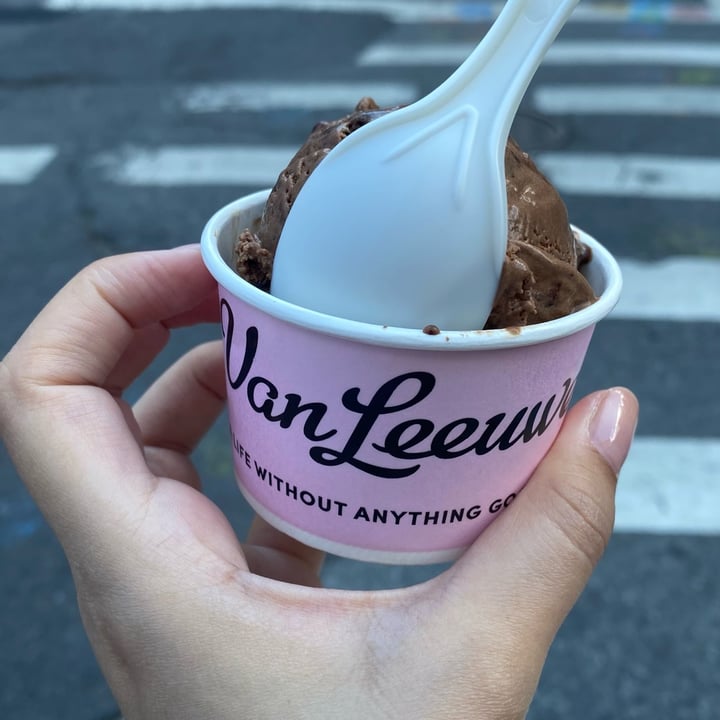 photo of Van Leeuwen Ice Cream Vegan Chocolate Brownie Fudge Ice Cream shared by @elisaleone on  09 Jun 2024 - review