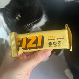 fizi