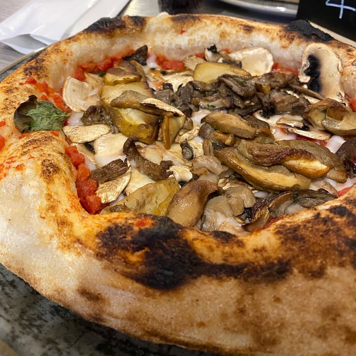 photo of Fuorigrotta Pizzeria Pizza Tris Di Funghi Con Mozzarella Vegan shared by @manuflo on  03 Jun 2024 - review