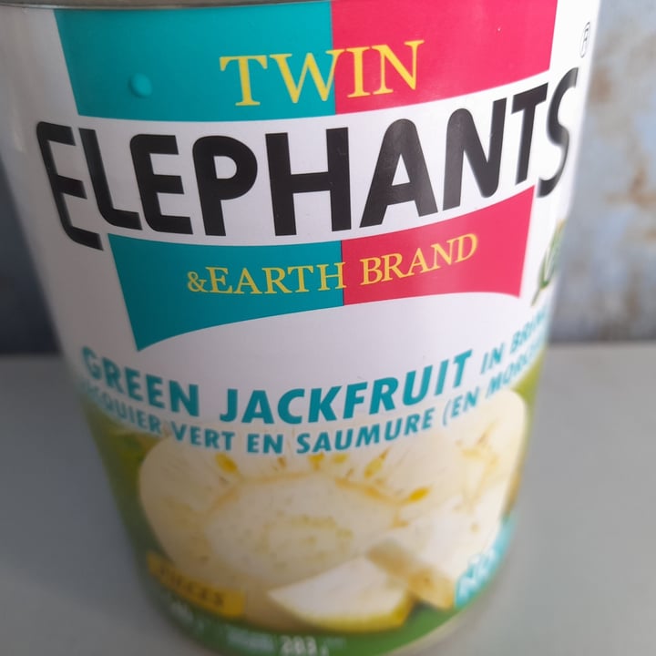 photo of Twin elephants Green jackfruit in brine shared by @alice50 on  20 Sep 2025 - review