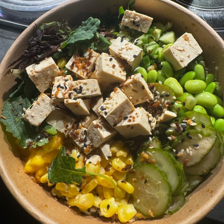 photo of West Coast Shapes Surf Rentals and Ukee Poke Tofu Poke Bowl shared by @veganmika on  24 Mar 2024 - review