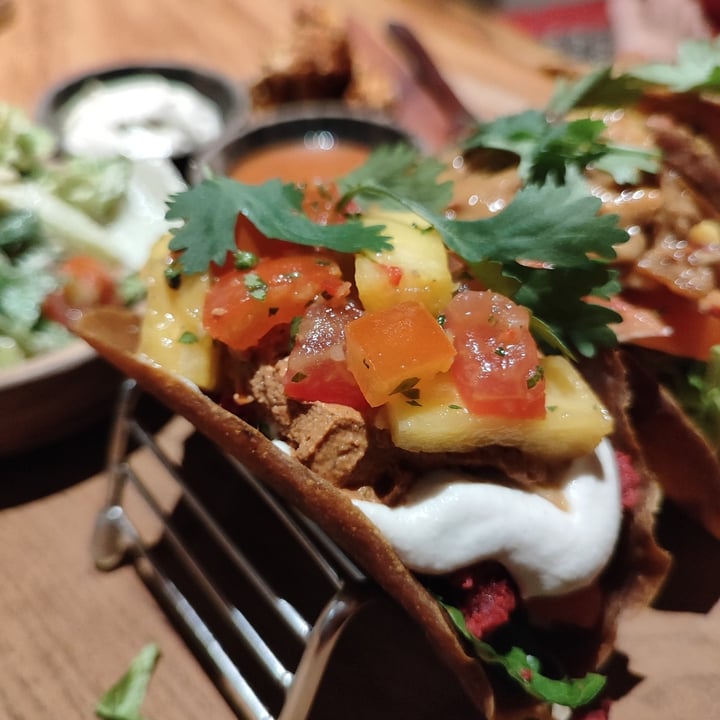 photo of The Seeds of Life Tacos shared by @littleredmushroom on  28 Oct 2023 - review