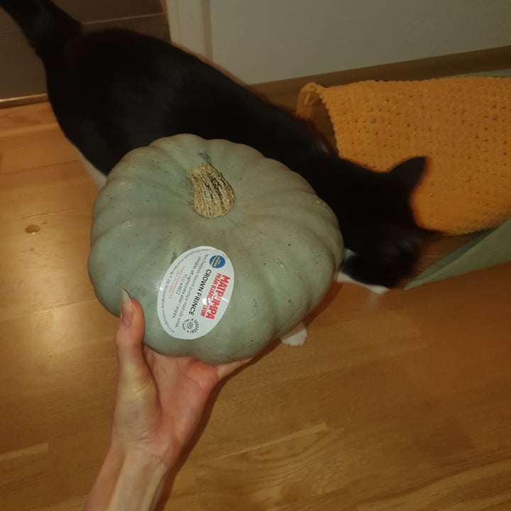 photo of SydGrönt Crown prince matpumpa shared by @adropoceanic on  09 Oct 2025 - review