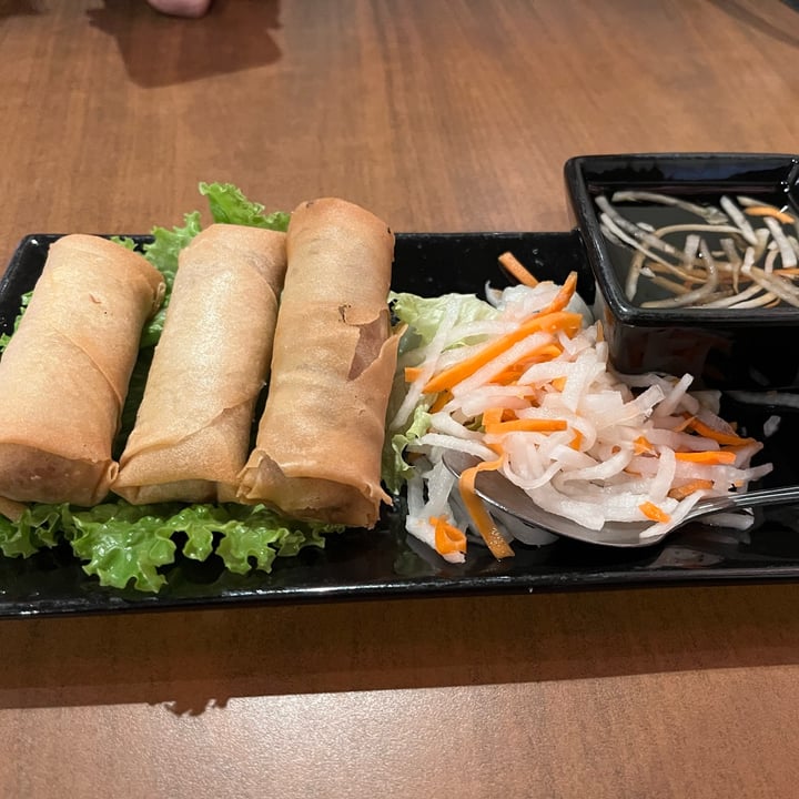 photo of Blossom Vegetarian Restaurant Deep Fried Crispy Rolls shared by @plantpowerpal on  16 Nov 2023 - review