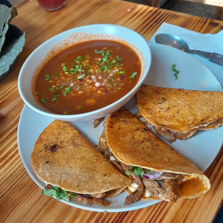 photo of Mictlan Antojitos Veganos Quesabirrias shared by @omar0505 on  29 Jan 2025 - review