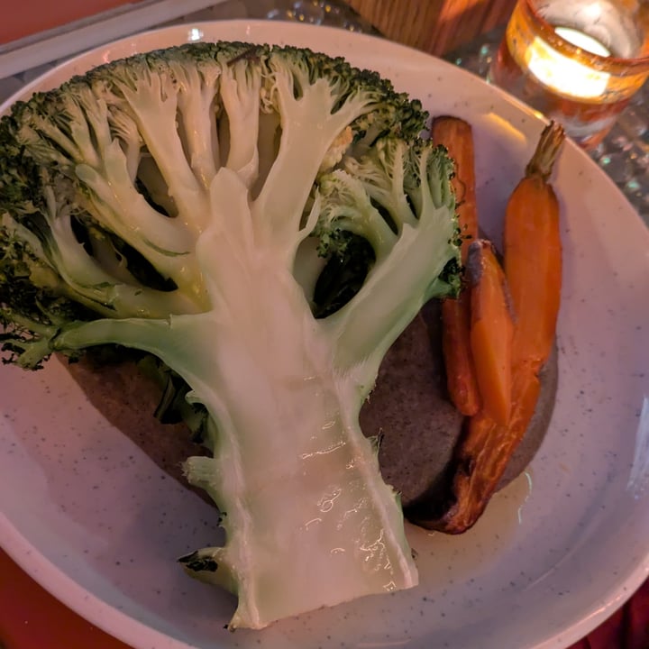 photo of Lehká hlava - vegetarian restaurant broccoli steak with mushroom puree and glazed carrots shared by @elisabettaveg on  31 Aug 2025 - review