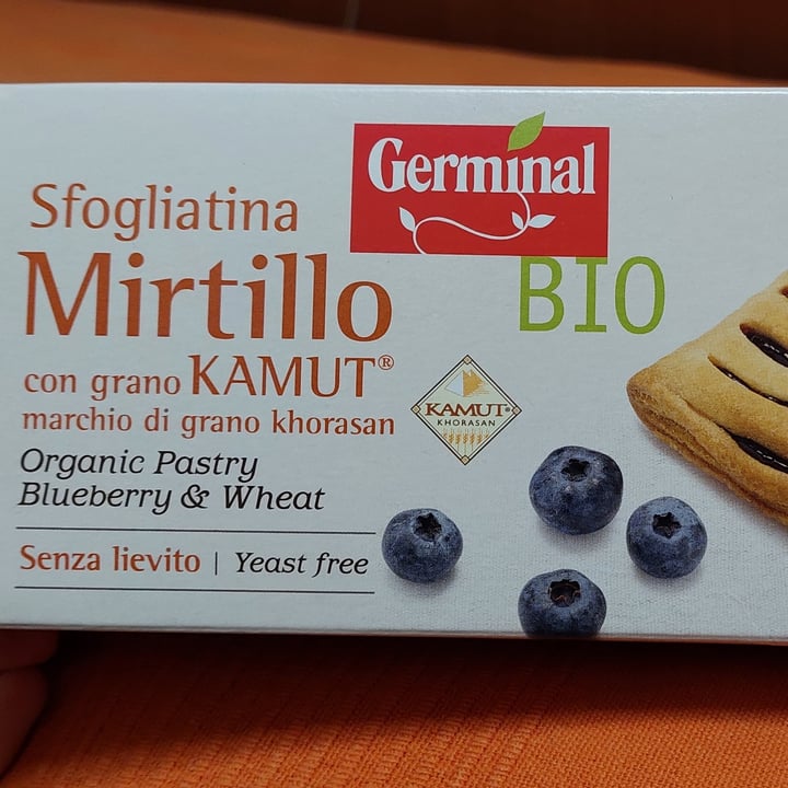 photo of Germinal Bio sfogliatina al mirtillo shared by @veggyisa on  31 Aug 2023 - review