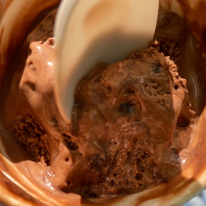 photo of Van Leeuwen Ice Cream Vegan Chocolate Brownie Fudge Ice Cream shared by @elisaleone on  09 Jun 2024 - review