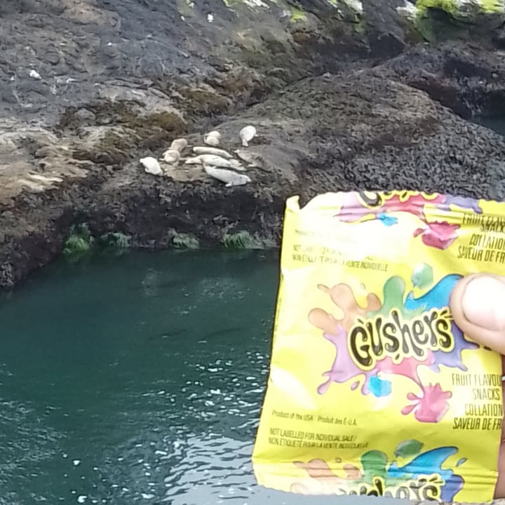 photo of Gushers Watermelon & Sour Apple shared by @anistavrou on  02 Aug 2025 - review