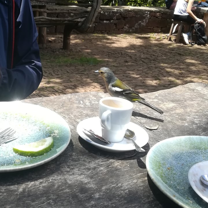 photo of Rabaçal Nature Spot Cafe Lime Pie shared by @violinoviola on  26 Jun 2024 - review