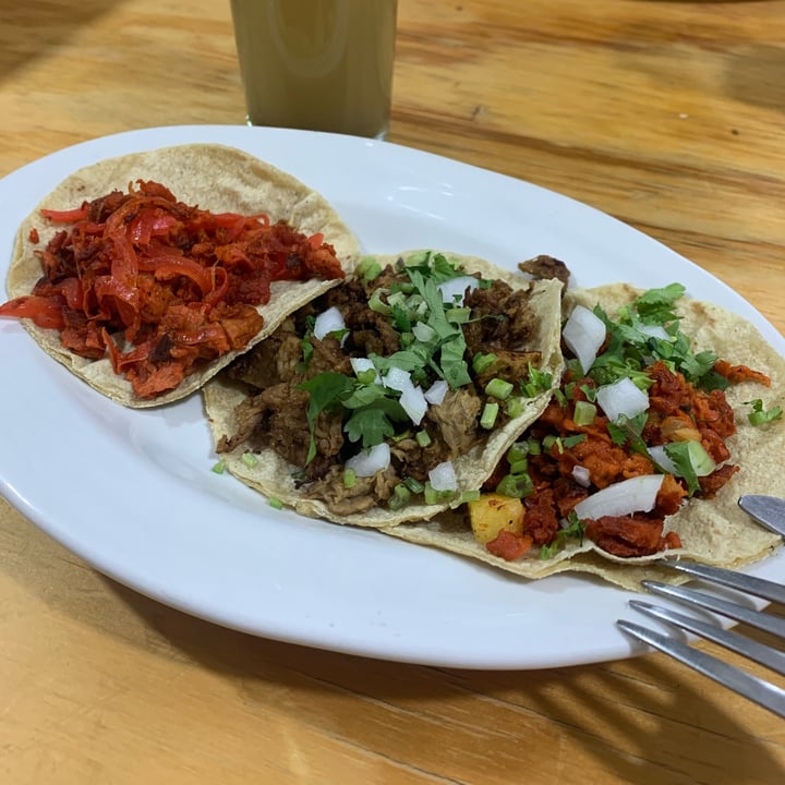 photo of Vege Taco Taco Pibil shared by @nancy on  18 Feb 2024 - review