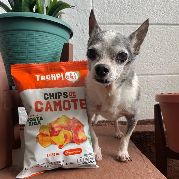 photo of Trohpi oh Chips De Camote shared by @andreaarrieta on  08 Oct 2023 - review