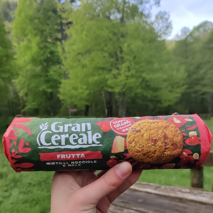 photo of Gran Cereale Biscotti con mirtilli nocciole mele shared by @ardemia on  30 Apr 2024 - review