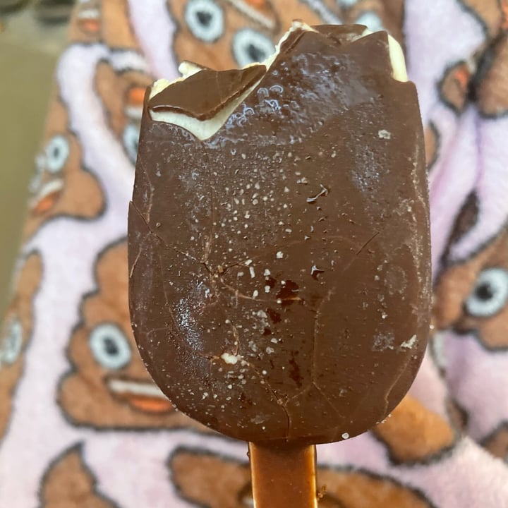 photo of So Delicious Dairy Free Dipped Salted Caramel Cashewmilk Ice Cream Bars shared by @sarahthebrat on  21 Nov 2024 - review