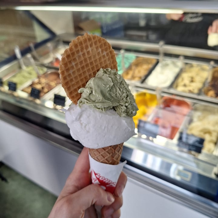photo of Gelateria Amor Di Gelato Gelato Pistacchio E Cocco shared by @fra102030 on  12 May 2024 - review