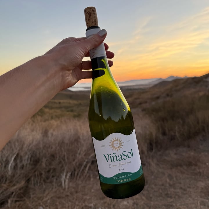 photo of Viñasol Vino blanco shared by @jennyfaye on  30 Sep 2025 - review