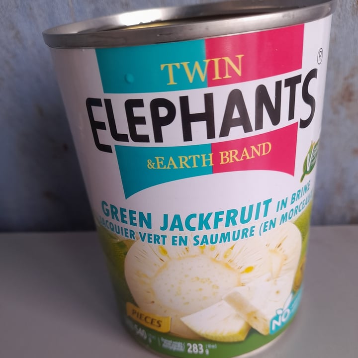 photo of Twin elephants Green jackfruit in brine shared by @alice50 on  20 Sep 2025 - review