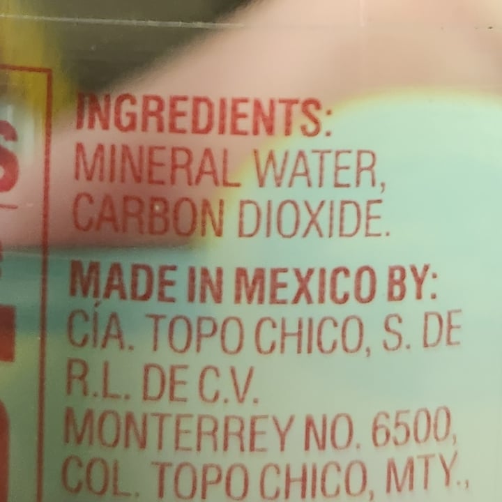 photo of Topo Chico Topo Chico Carbonated Mineral Water shared by @brtjohns on  11 Aug 2025 - review