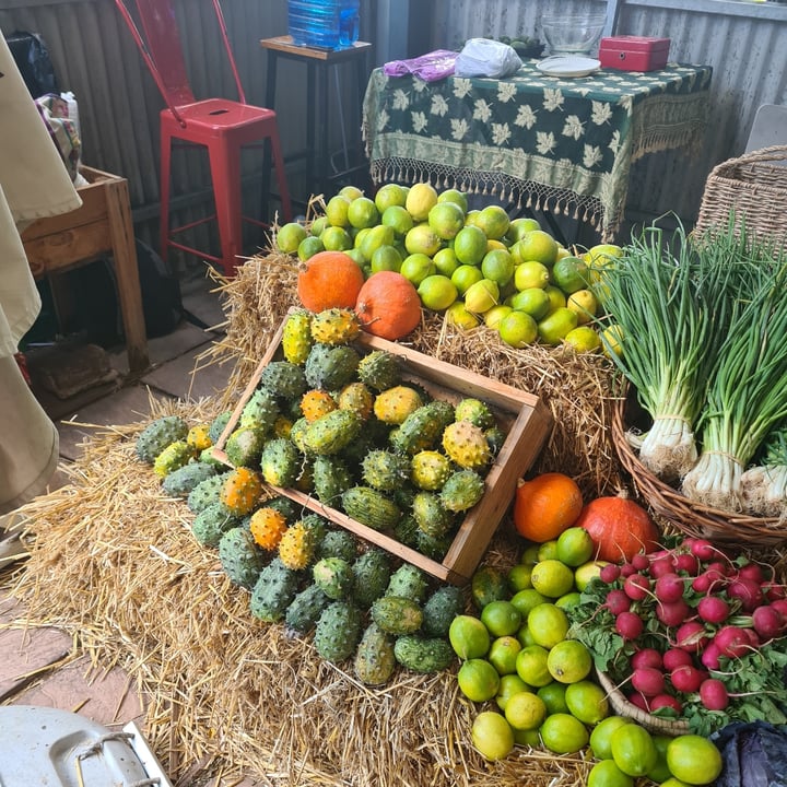 photo of The Harvest (pop-up stand) Tamarillo shared by @veronicagroen on  14 Apr 2024 - review