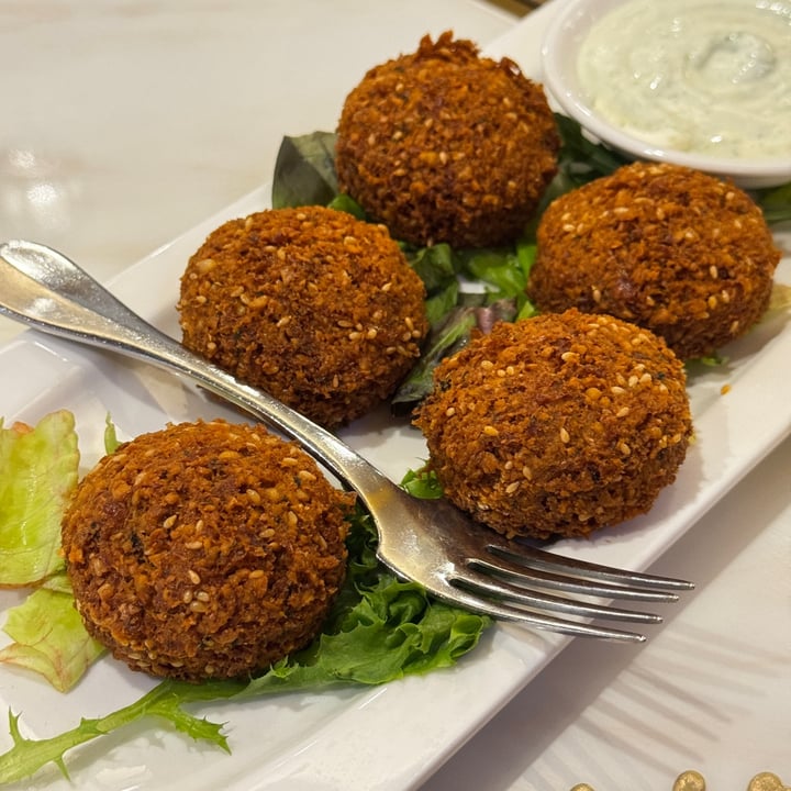 photo of Shabestan Falafel shared by @vegan-ravana on  03 Aug 2025 - review