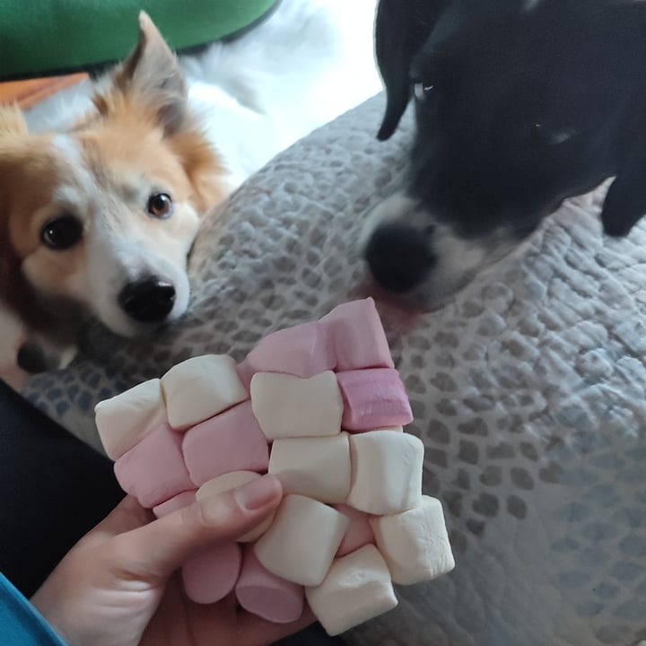 photo of Sweetland Marshmallows Vegan Sabor vainilla Extra suave shared by @theandalusianqueer on  14 Mar 2024 - review