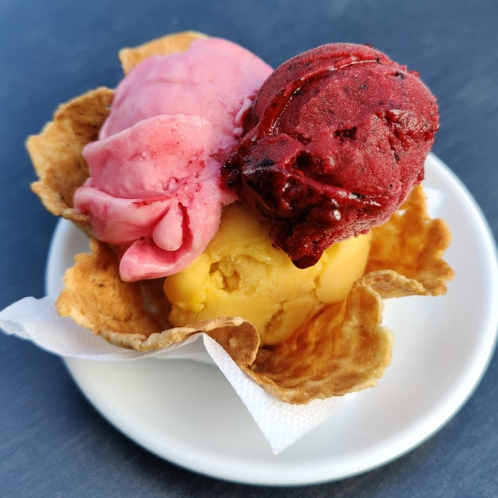 photo of Jätskibaari Waffle 3 minipallo jätski shared by @fdsouza on  30 Jul 2024 - review