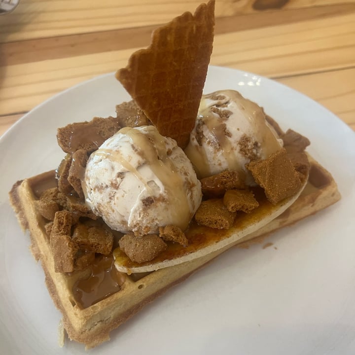 photo of ditto Vegan Ice Cream biscoff waffle shared by @kimmartin on  28 Apr 2024 - review