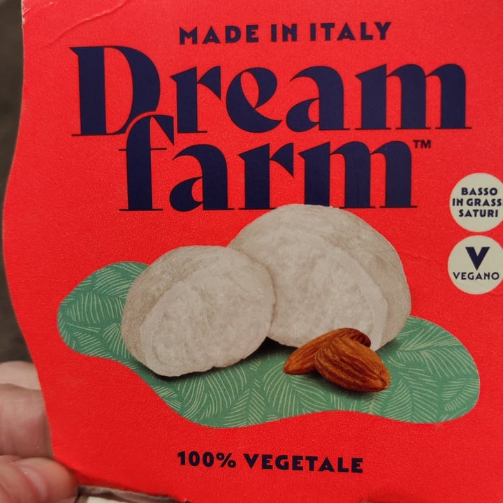 photo of Dreamfarm Alternativa vegetale alla mozzarella shared by @unazampaperlaspagna on  10 Apr 2024 - review