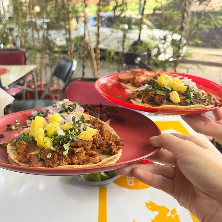 photo of Gracias Madre Taquería Vegana tacos mix shared by @jomaloto on  04 May 2025 - review