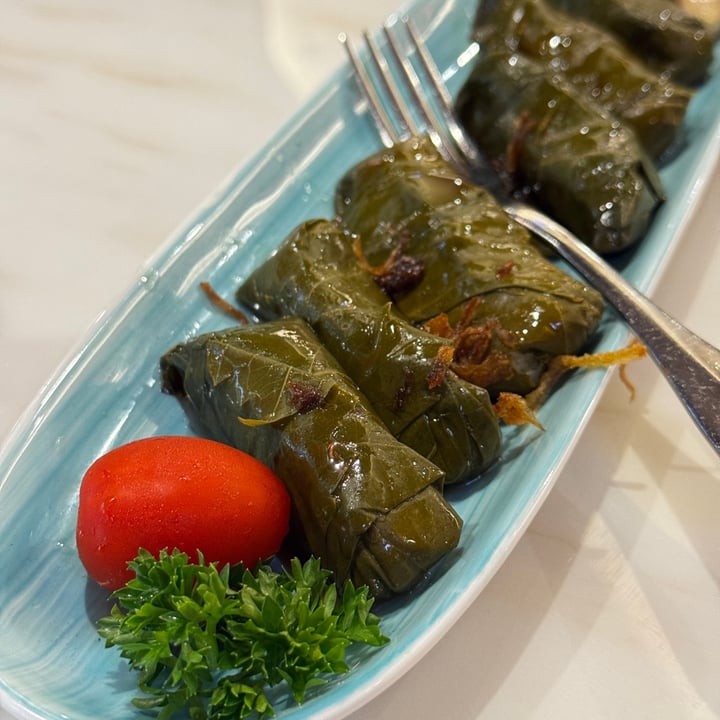 photo of Shabestan Dolma shared by @vegan-ravana on  03 Aug 2025 - review