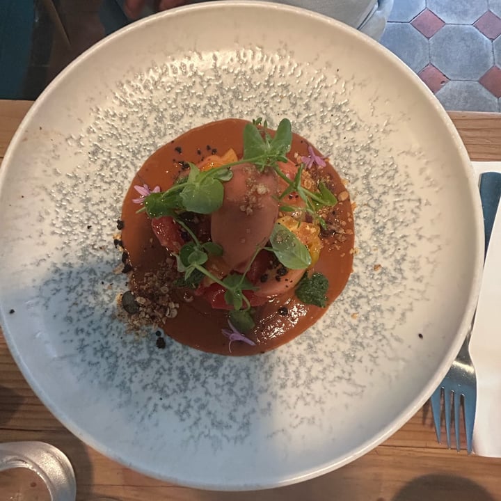 photo of V&G gastronomie Everything Tomato shared by @janke66 on  13 Sep 2025 - review