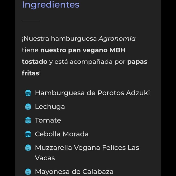 photo of Mi Barrio Hamburgueseria Hamburguesa Agronomía shared by @aquilesjugador on  07 Feb 2025 - review