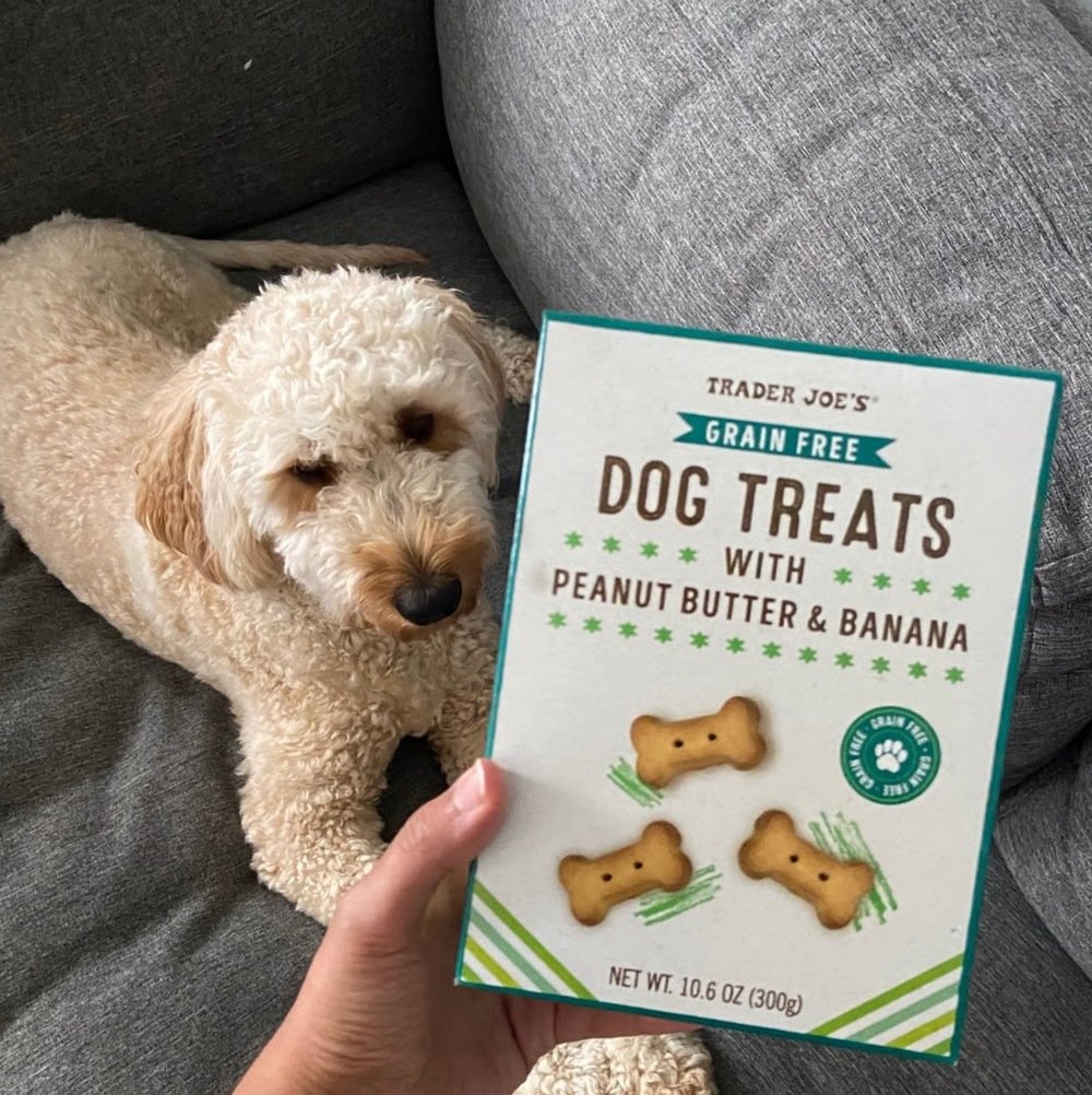 Grain Free Dog Treats with Peanut Butter & Banana from Trader Joe’s