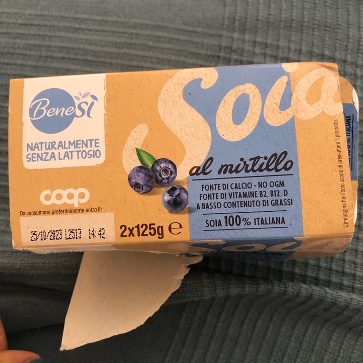 photo of coop bene-sì Yogurt di soia al mirtillo shared by @seitansistah on  09 Oct 2023 - review