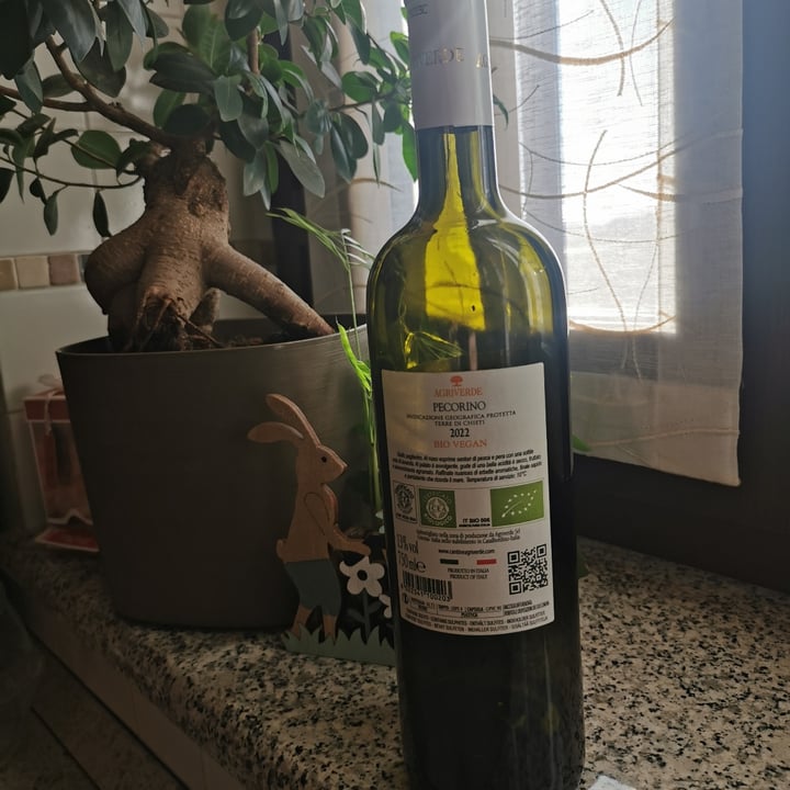 photo of Agriverde wine vino biologico shared by @barbabeagio on  13 Jan 2024 - review